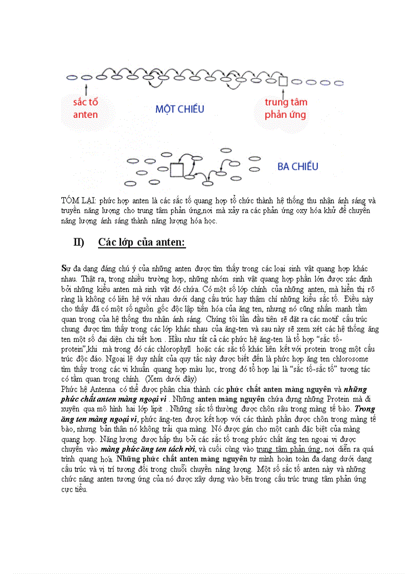 image for page Chuyển hóa ánh sáng