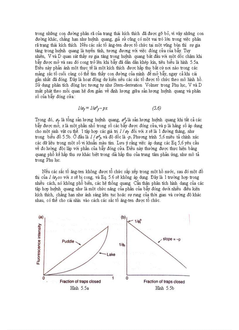 image for page Chuyển hóa ánh sáng