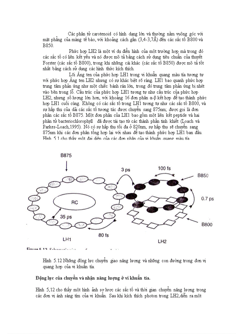 image for page Chuyển hóa ánh sáng