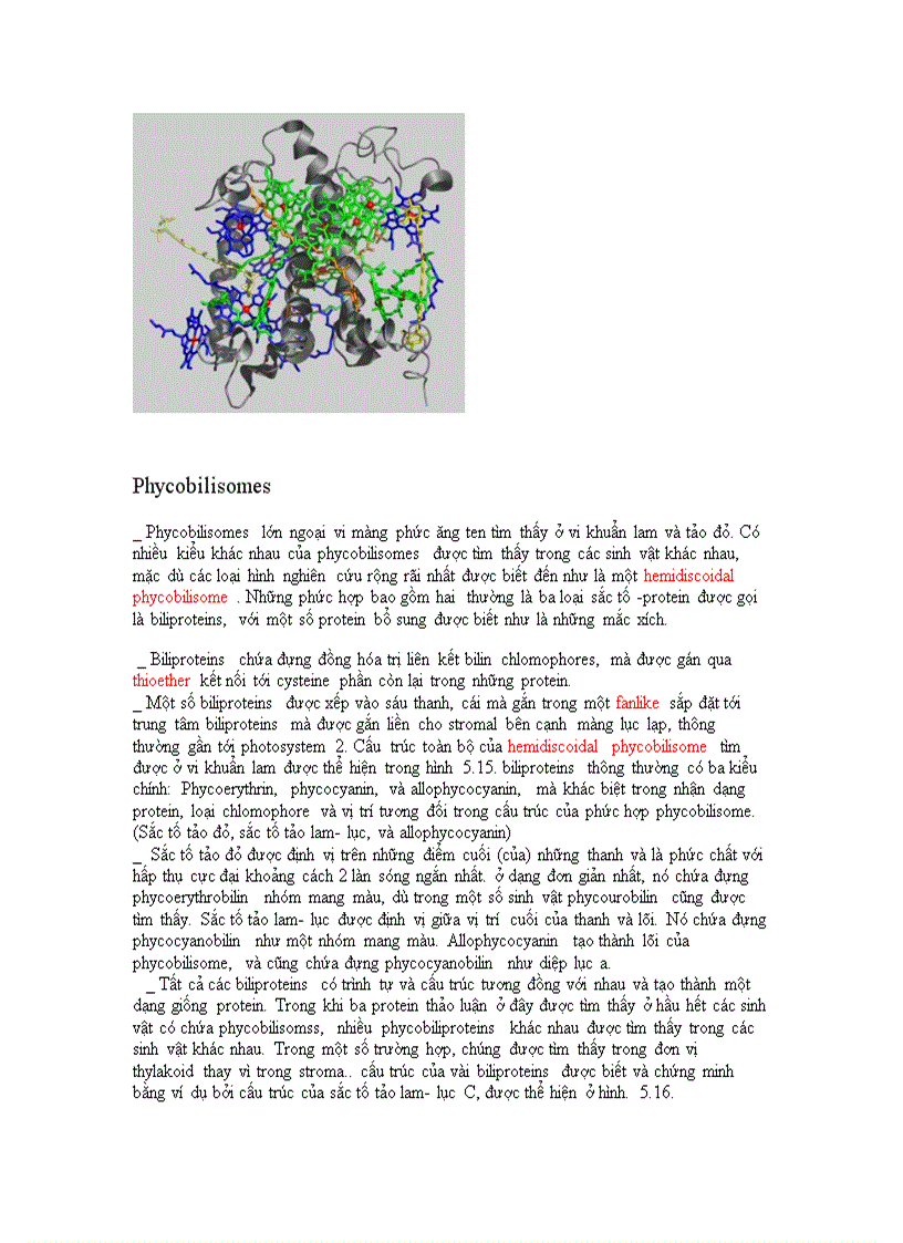 image for page Chuyển hóa ánh sáng