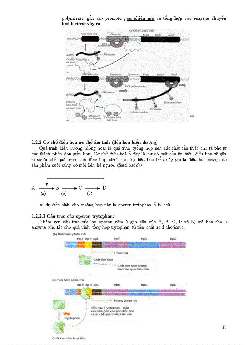 image for page Co che di truyen