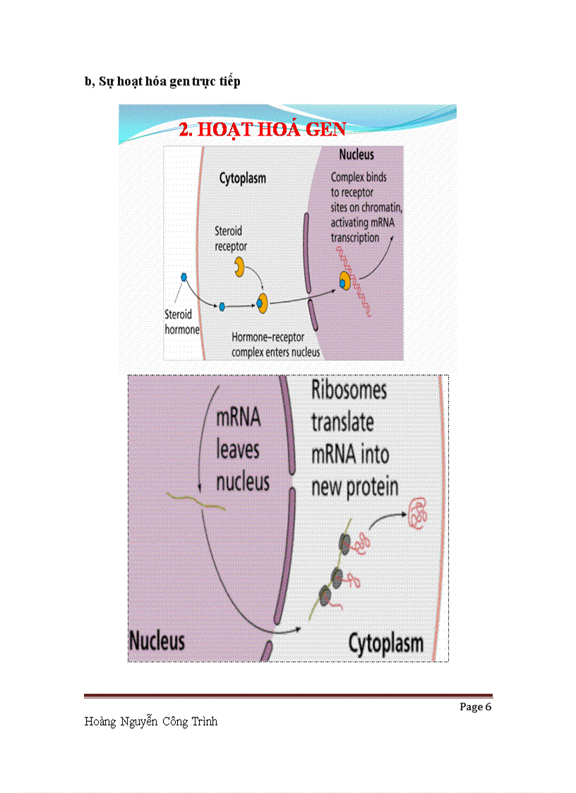 Cơ chế và tác dụng của Hormon