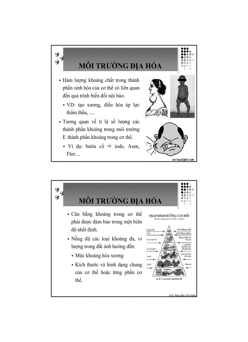 image for page Con người môi trường chuong 2
