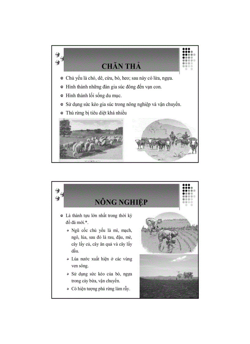 image for page Con người môi trường chuong 2