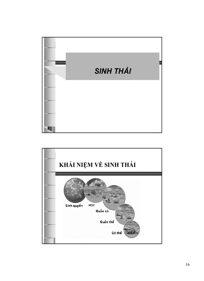 image for page Con người môi trường