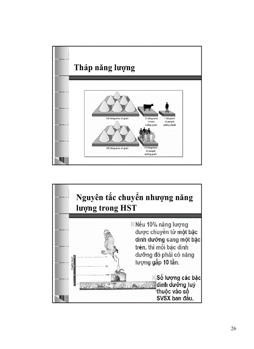 image for page Con người môi trường