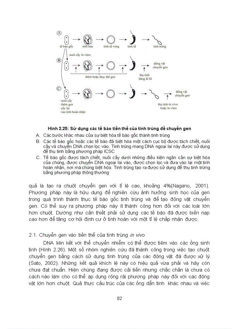 image for page Cong nghe chuyen gen dong thuc vat