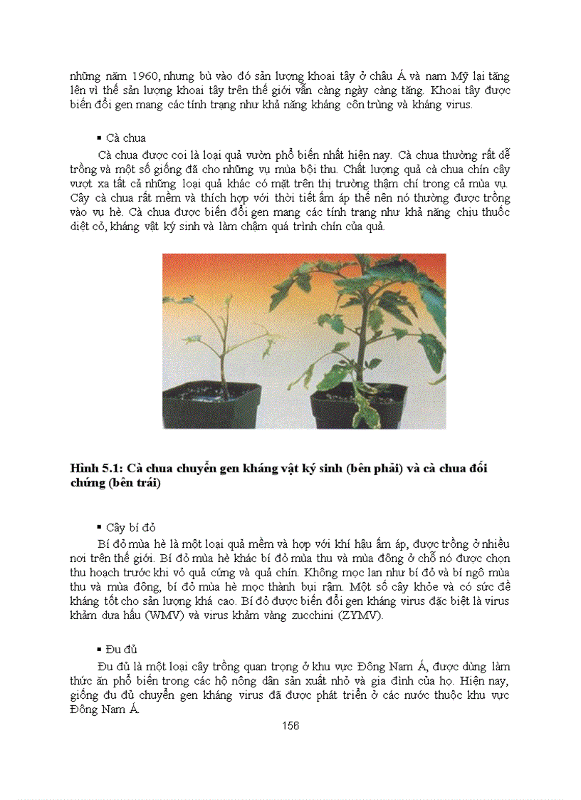 image for page Cong nghe chuyen gen dong thuc vat