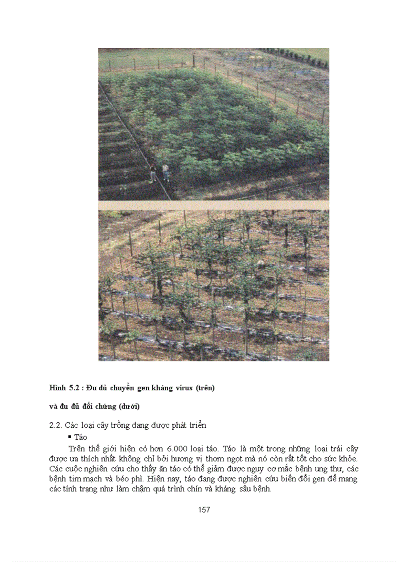 image for page Cong nghe chuyen gen dong thuc vat