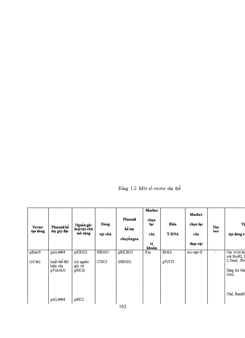 image for page Cong nghe chuyen gen dong thuc vat