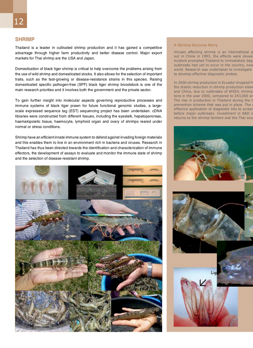 image for page Công nghệ sinh học ở Thái Lan