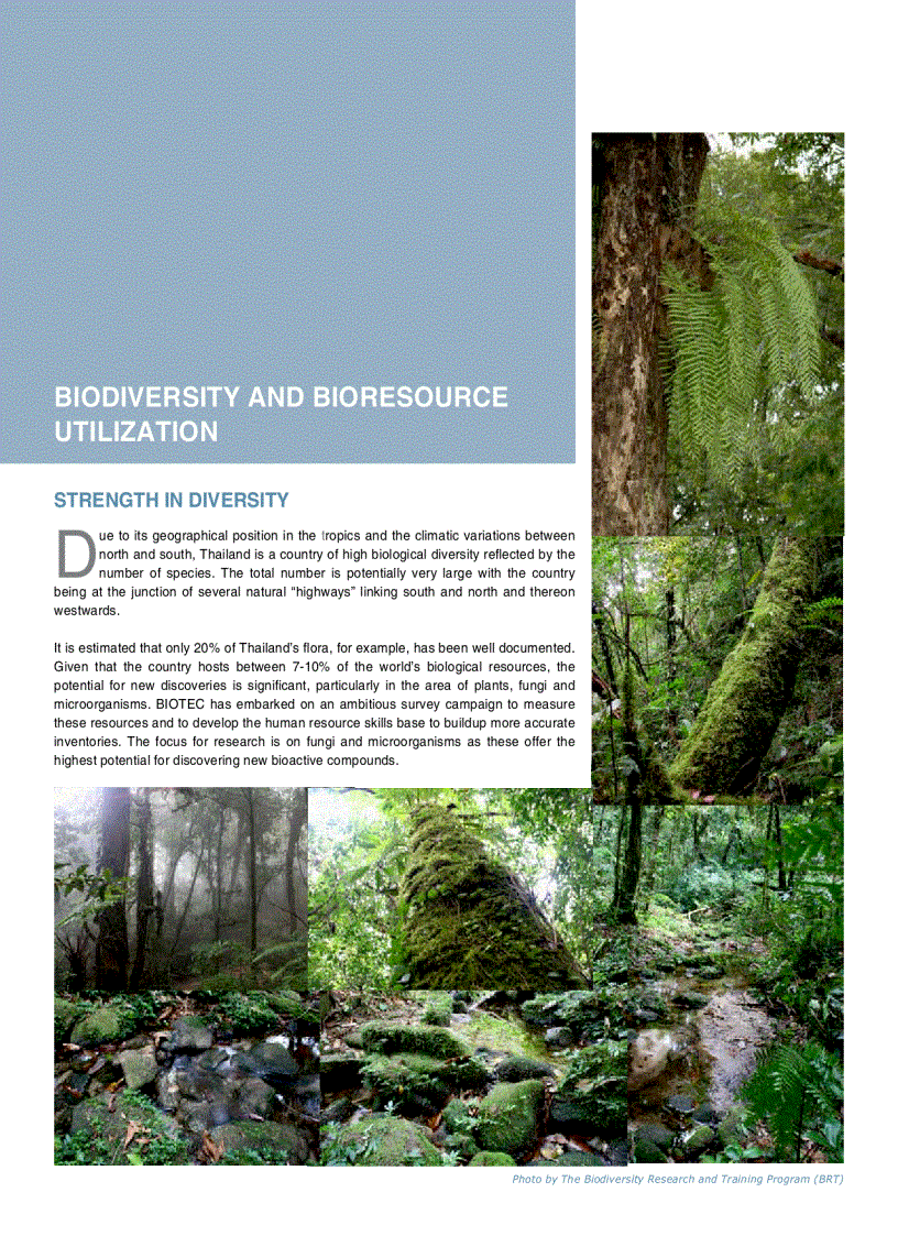 image for page Công nghệ sinh học ở Thái Lan