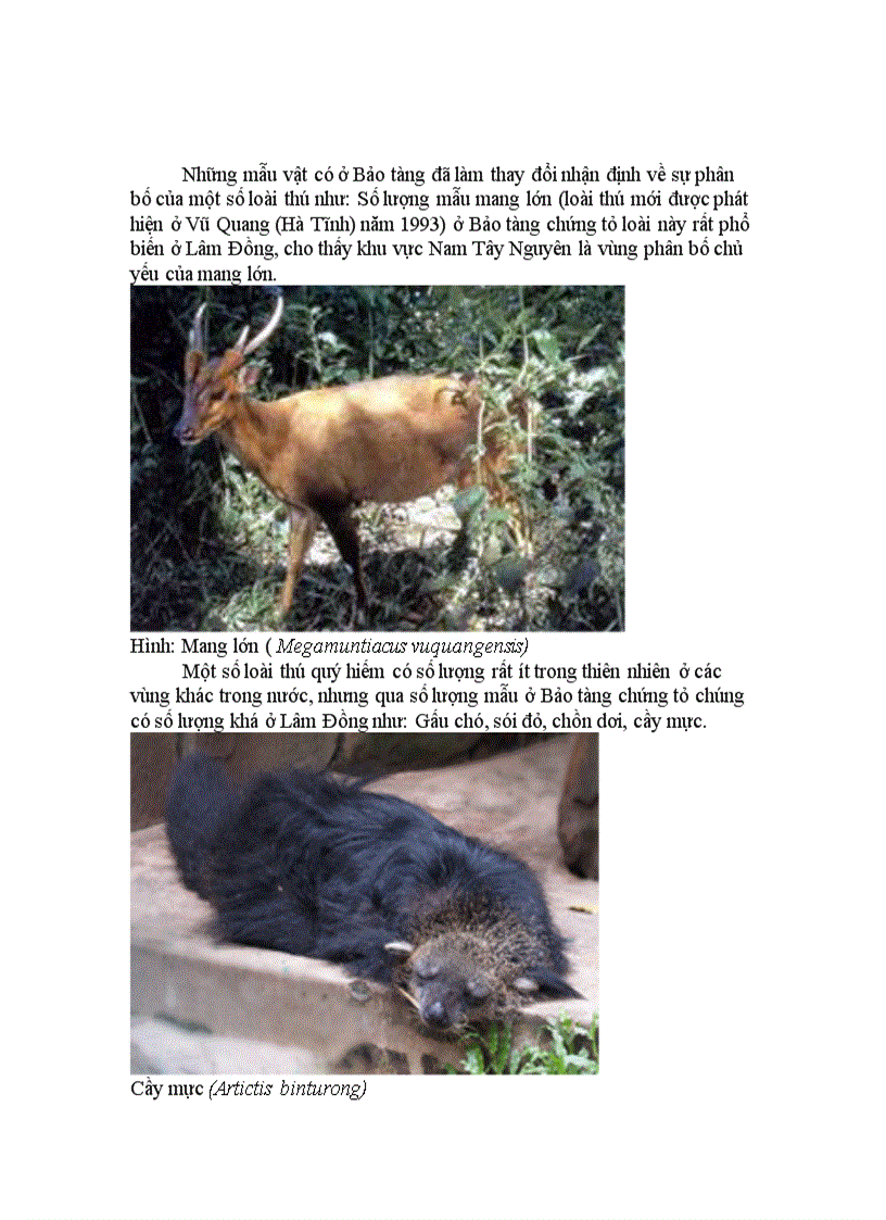 image for page Da dạng động thực vật rừng tay nguyên