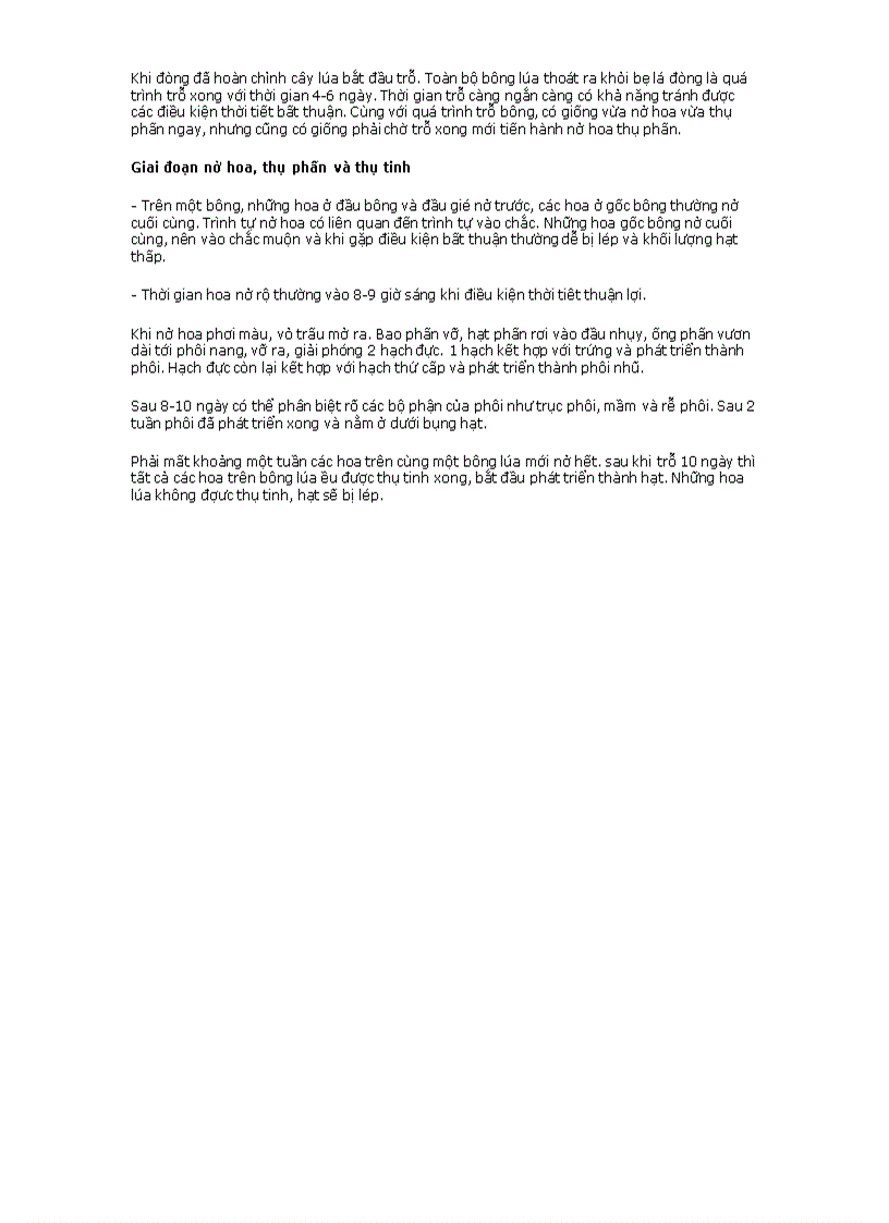 image for page Đặc điểm thực vật học của cây lúa