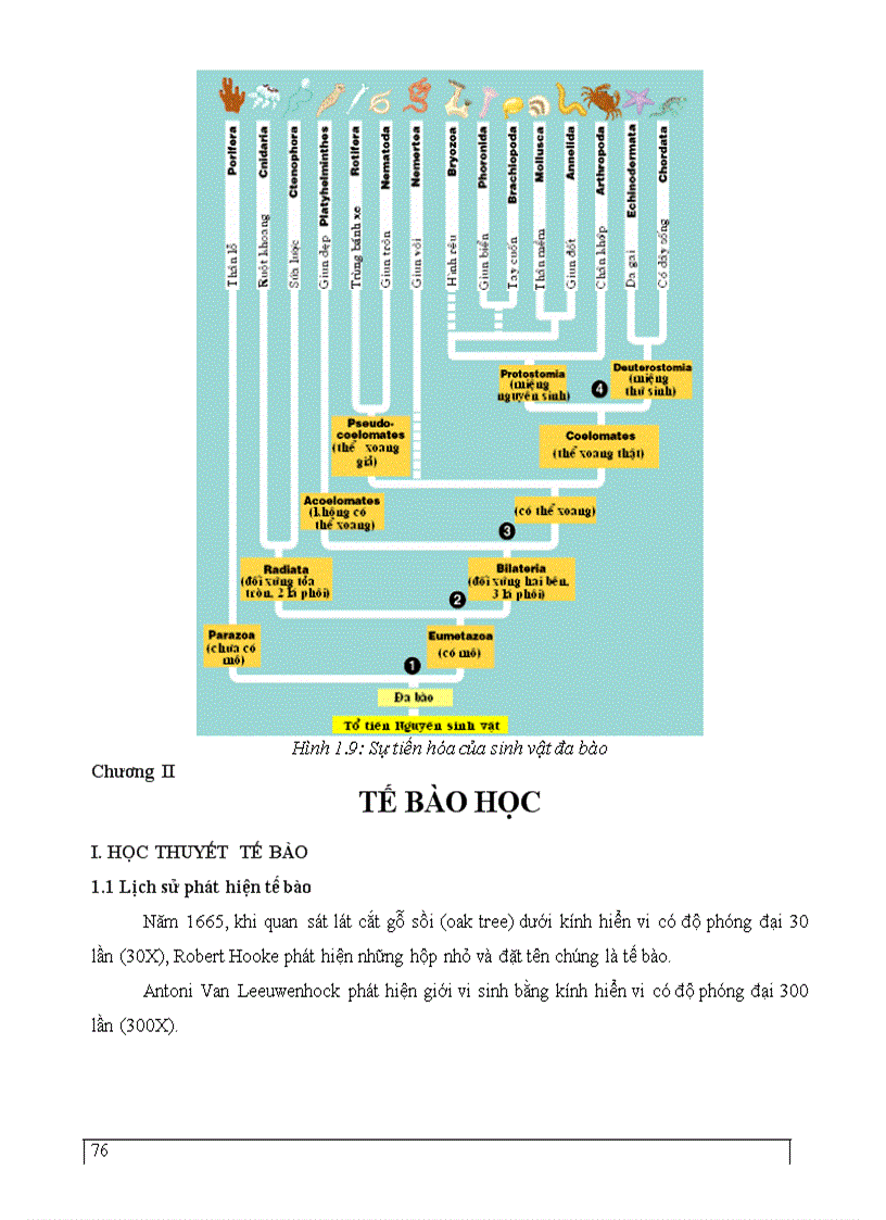 image for page Dai cuong sinh