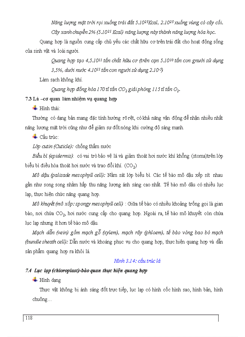 image for page Dai cuong sinh