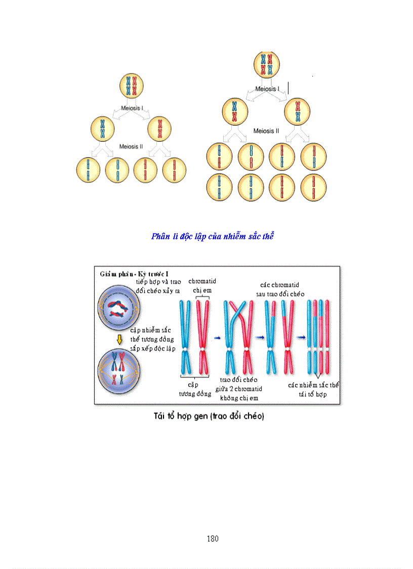 image for page Dai cuong sinh