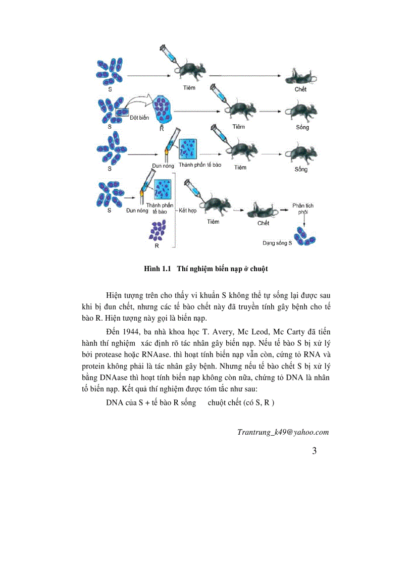 image for page Di truyền học