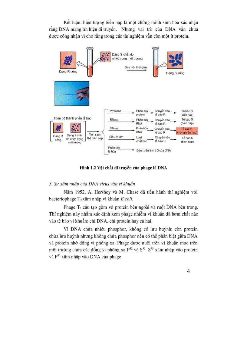 image for page Di truyền học