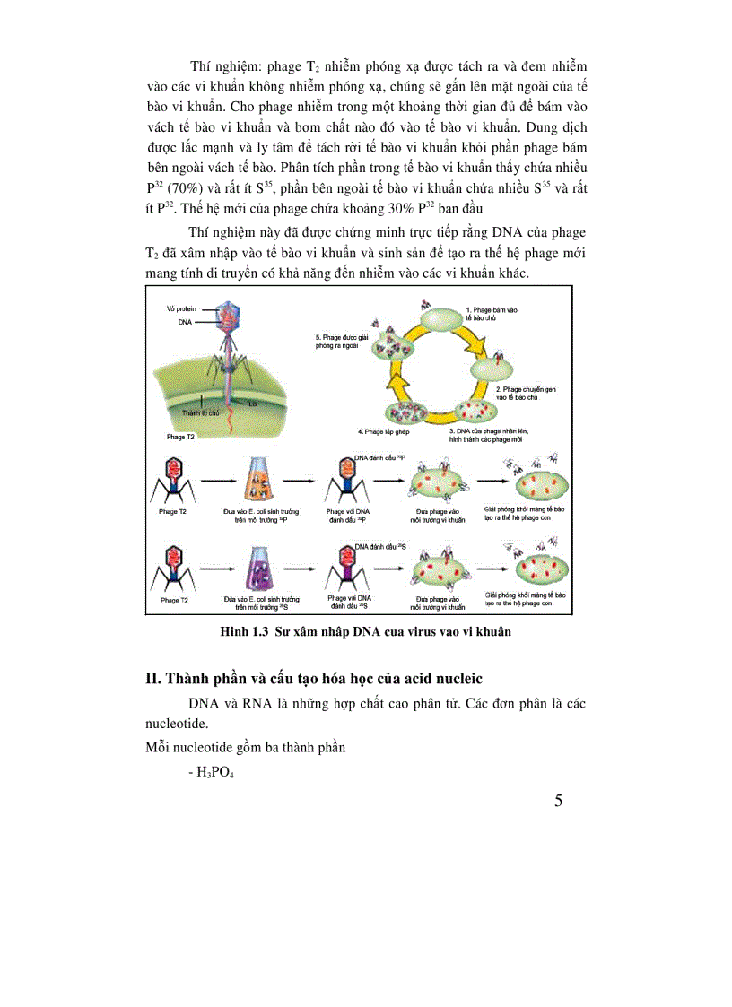 image for page Di truyền học