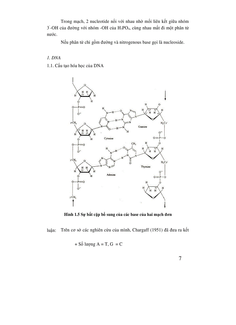 image for page Di truyền học