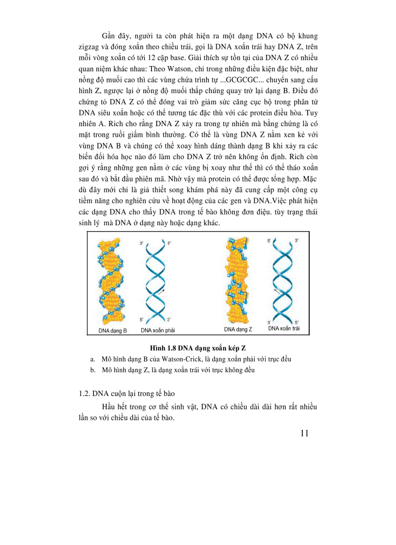 image for page Di truyền học
