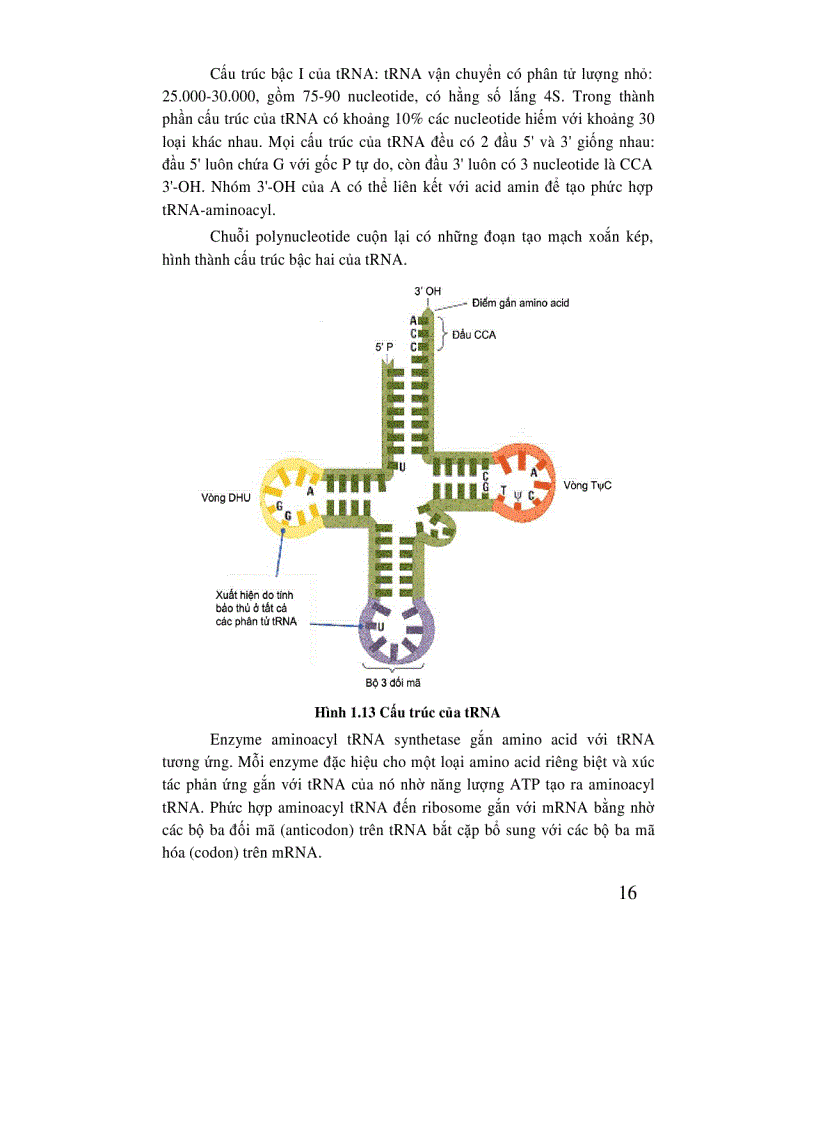 image for page Di truyền học