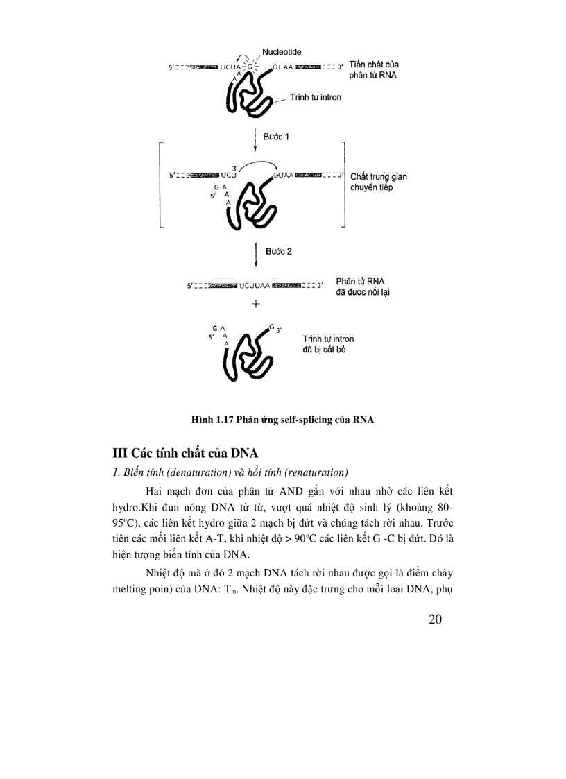 image for page Di truyền học