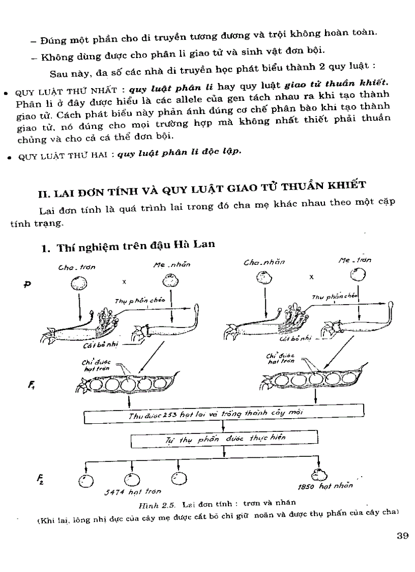 image for page Di truyen hoc Pham Thanh Ho Phan 1 Chuong 1