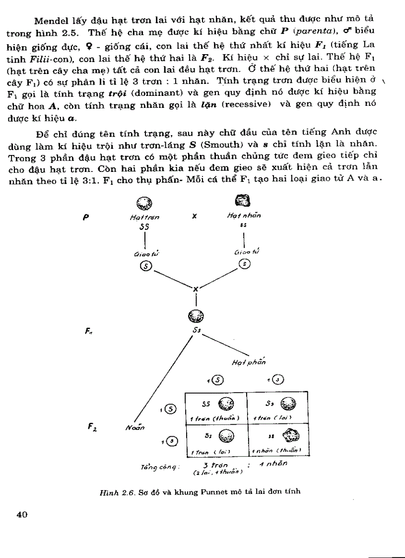 image for page Di truyen hoc Pham Thanh Ho Phan 1 Chuong 1