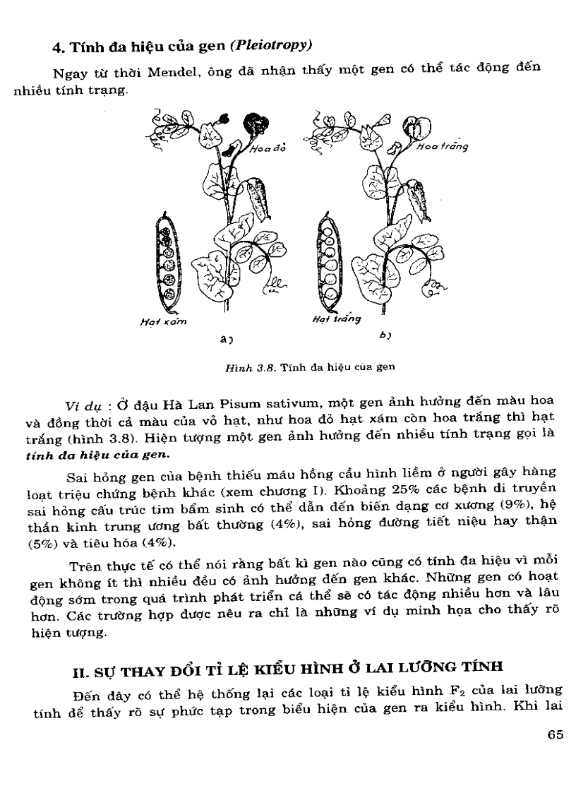 image for page Di truyen hoc Pham Thanh Ho Phan 1 Chuong 3