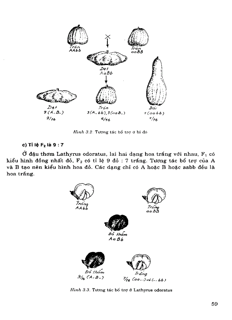 image for page Di truyen hoc Pham Thanh Ho Phan 1 Chuong 3