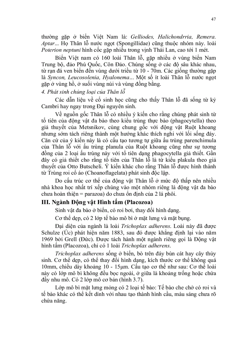 image for page Dong vat can da bao