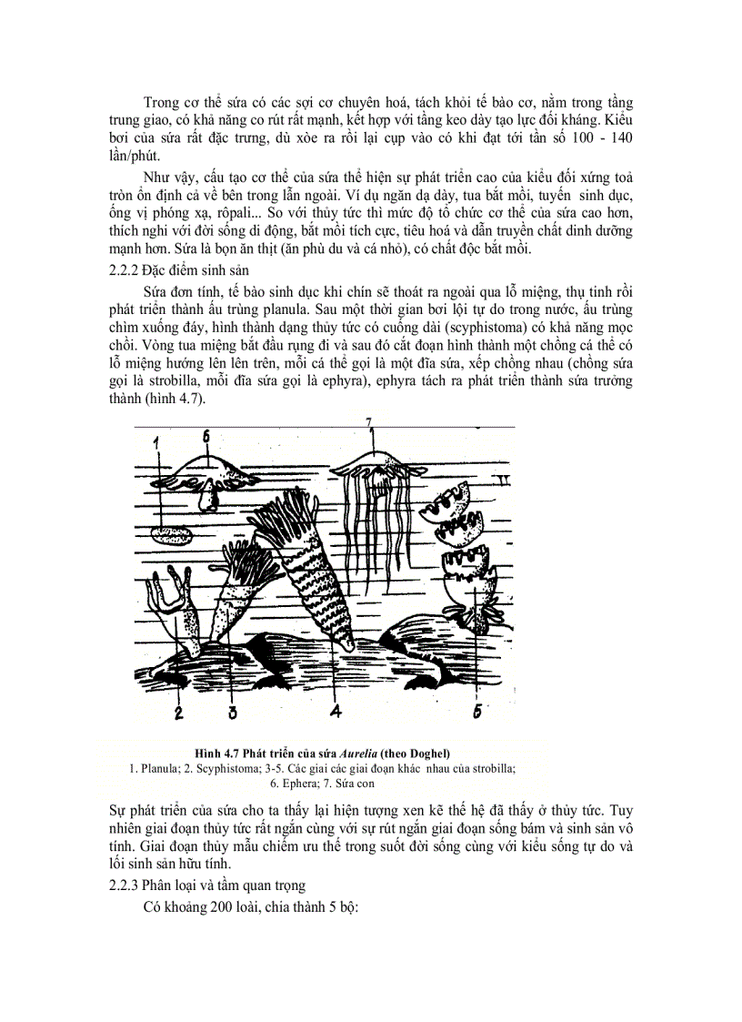 image for page Dong vat da bao hoan thien