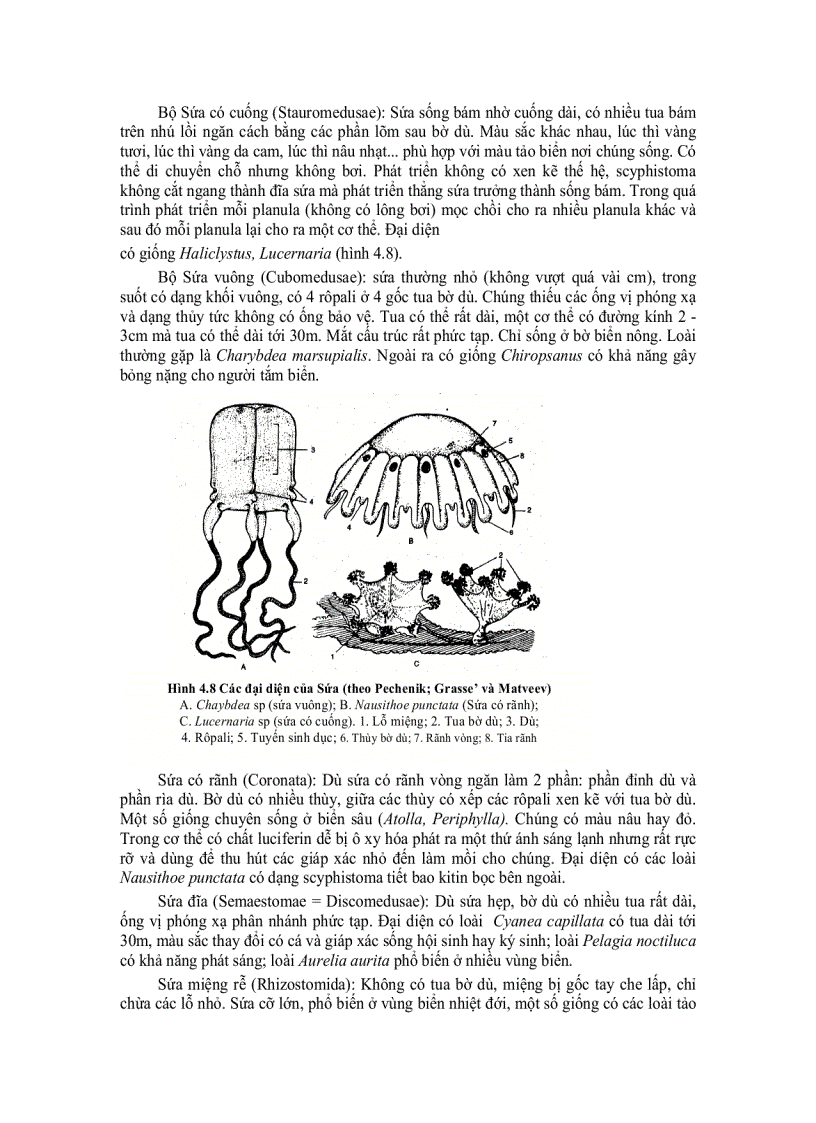 image for page Dong vat da bao hoan thien