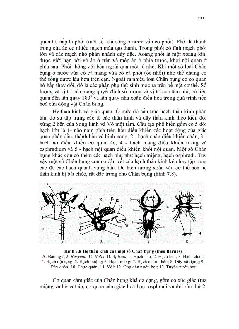 image for page Dong vat than mem