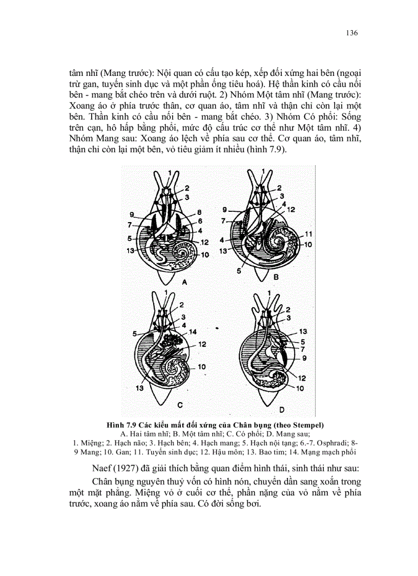 image for page Dong vat than mem