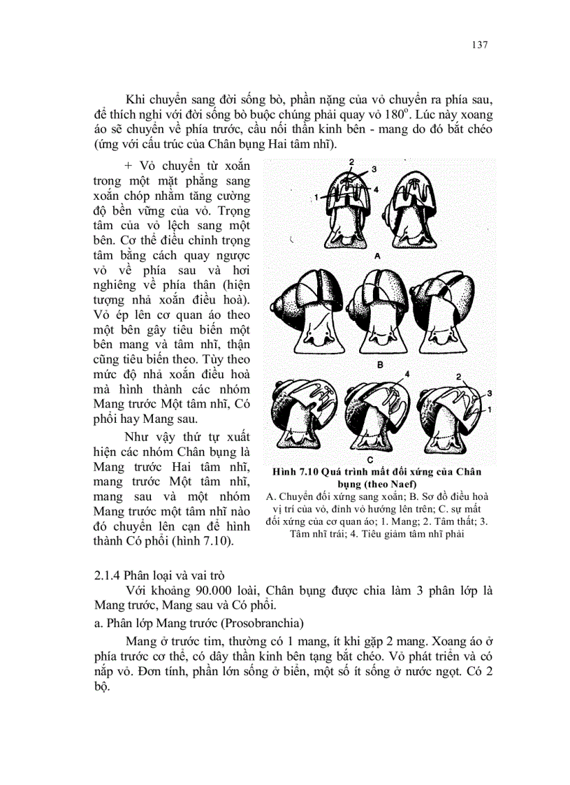 image for page Dong vat than mem