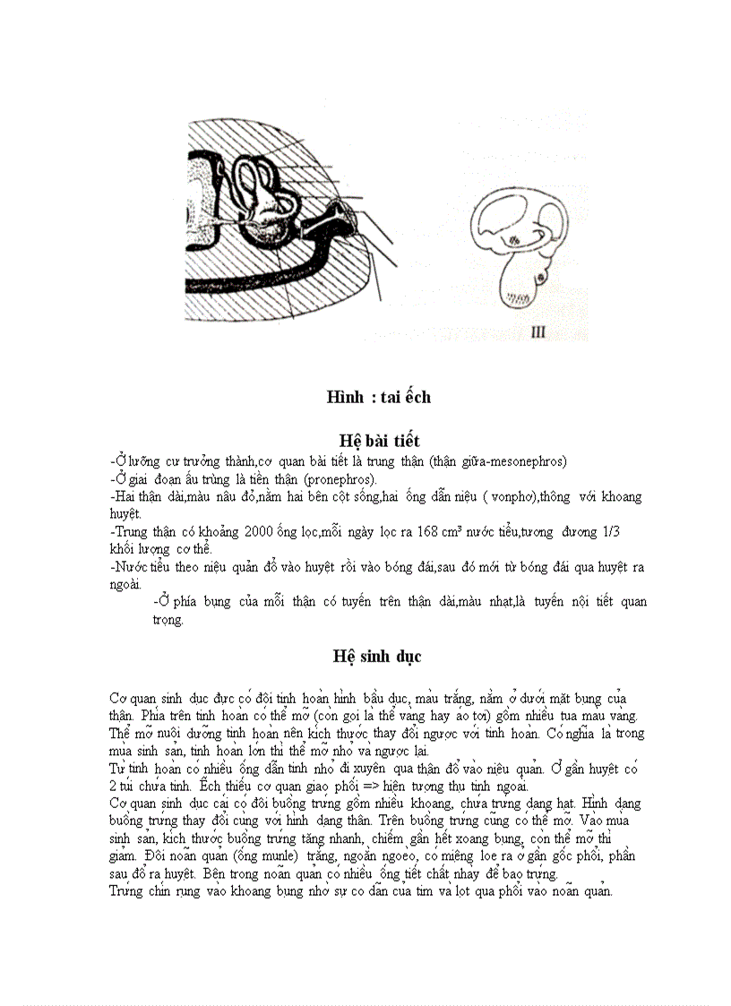 image for page Ech dong