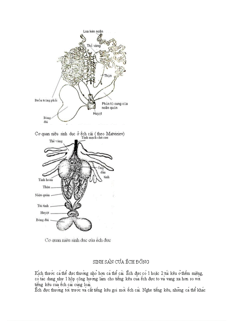 image for page Ech dong