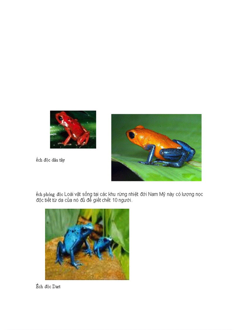 image for page Ech dong