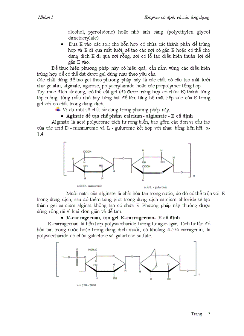 image for page Enzyme