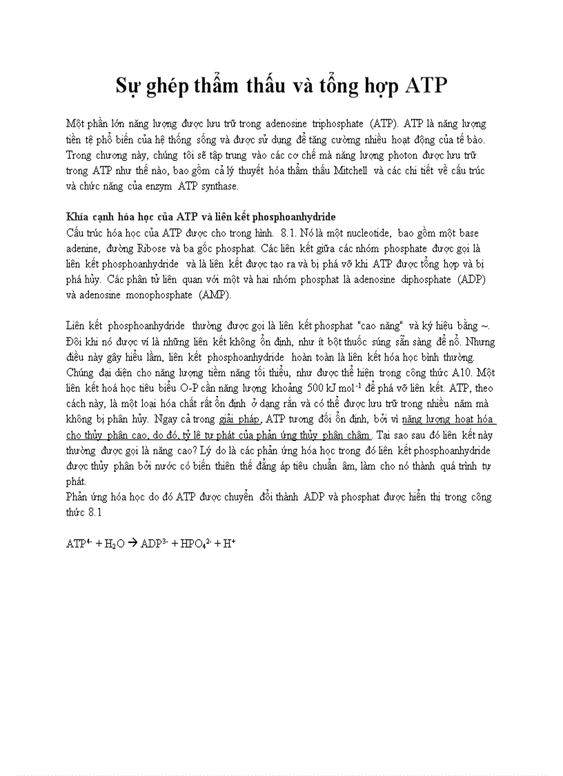 image for page Ghép thẩm thấu và tổng hợp ATP