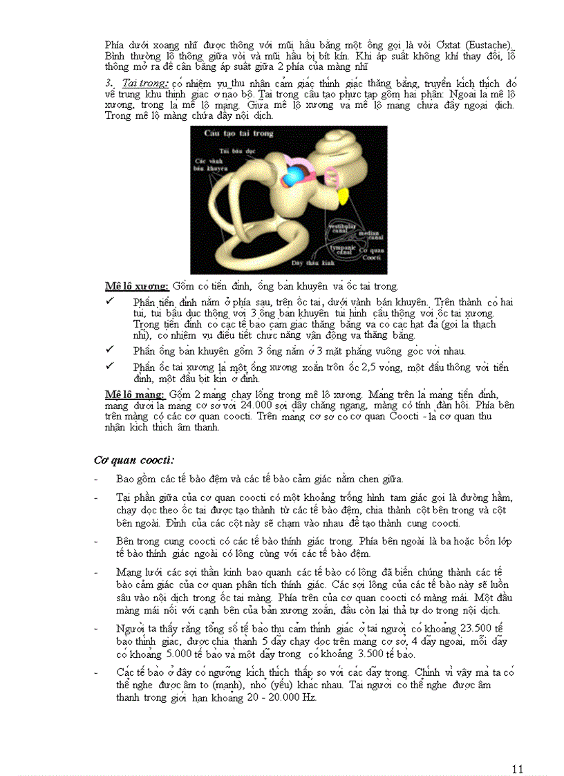 image for page Giác quan