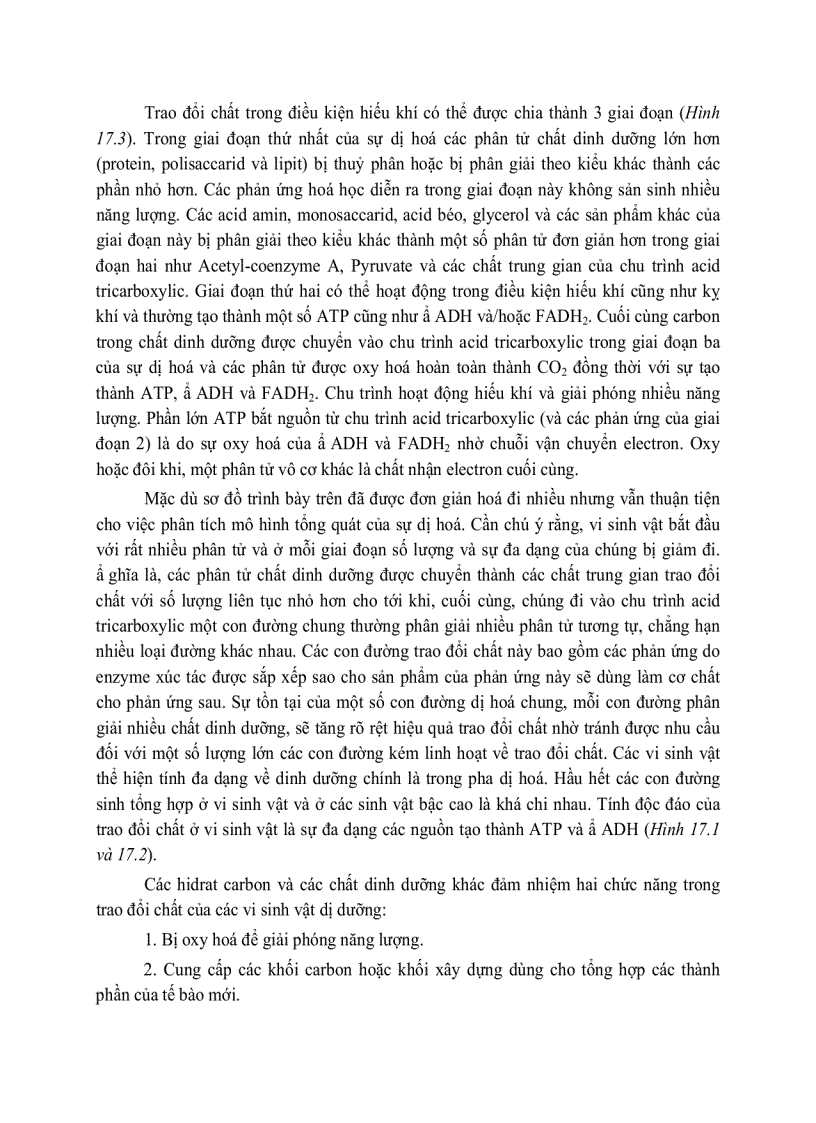 image for page Giải phóng và bảo tồn năng luong của cây xanh