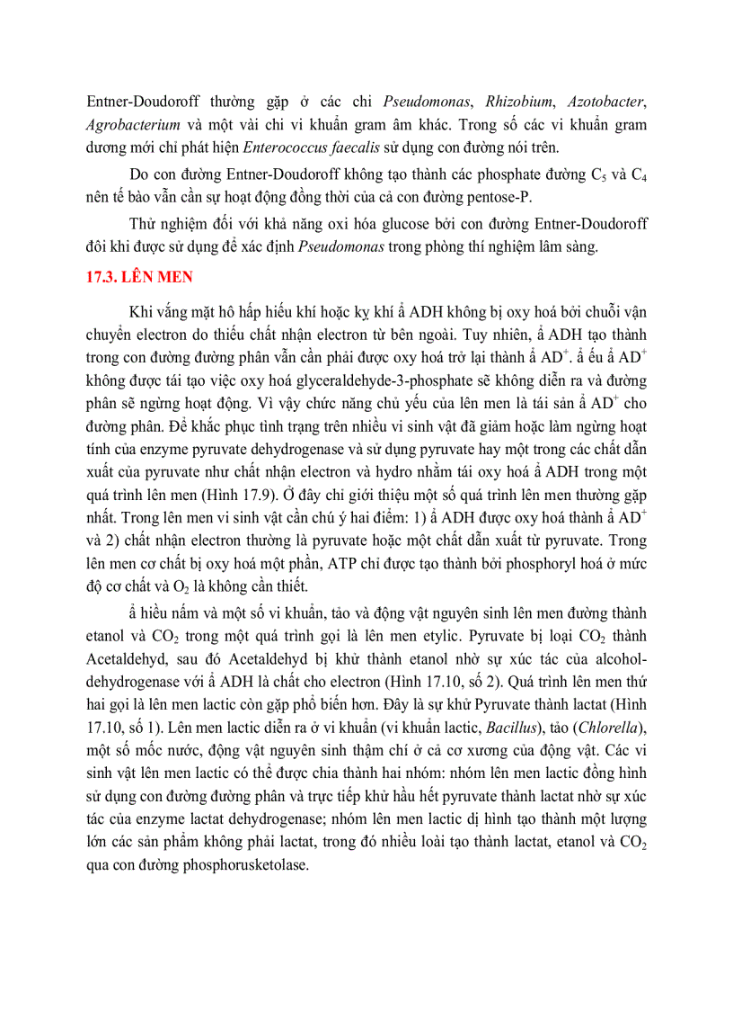 image for page Giải phóng và bảo tồn năng luong của cây xanh