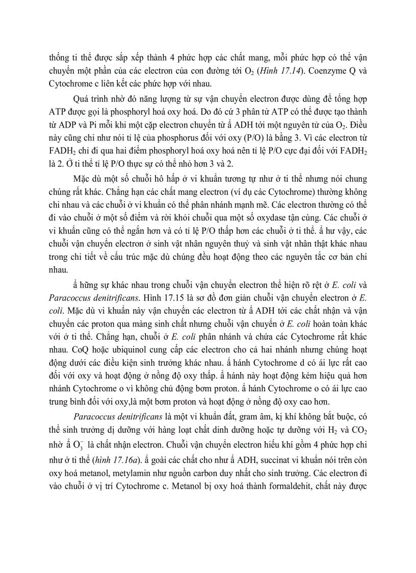 image for page Giải phóng và bảo tồn năng luong của cây xanh