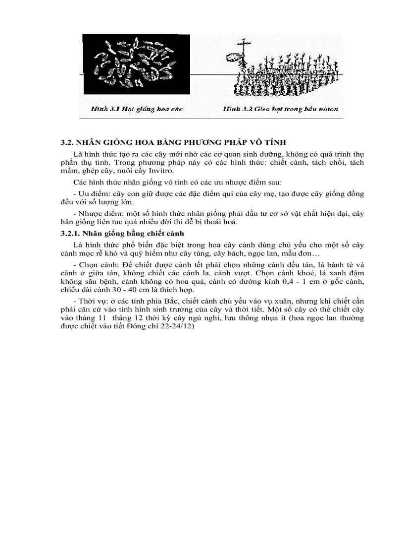 image for page Giao trinh cay hoa bonsai