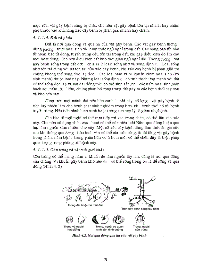 image for page Giao trinh Con trung NLN