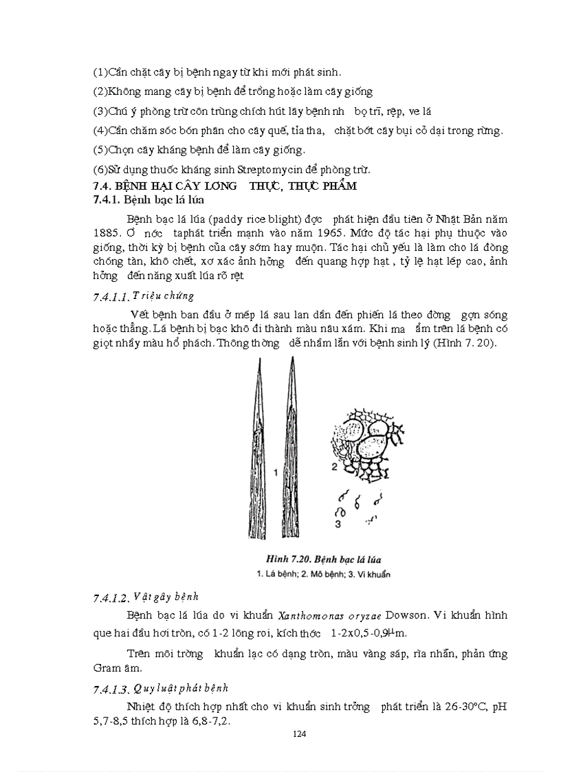 image for page Giao trinh Con trung NLN